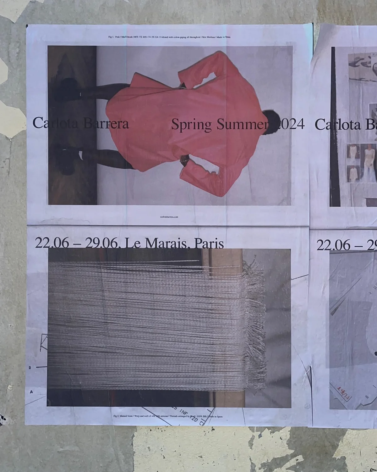 Carlota Barrera — image 6