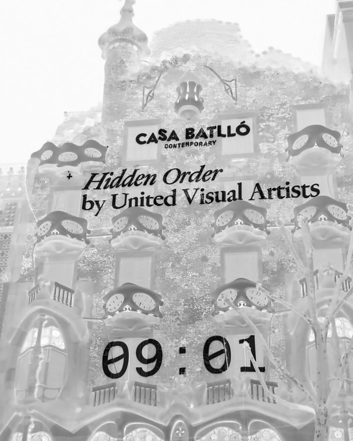 Casa Batlló Contemporary — image 5