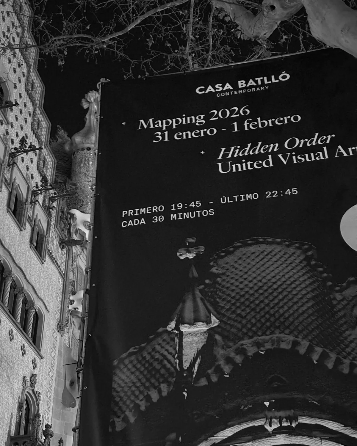 Casa Batlló Contemporary — image 6